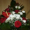 DSC01869