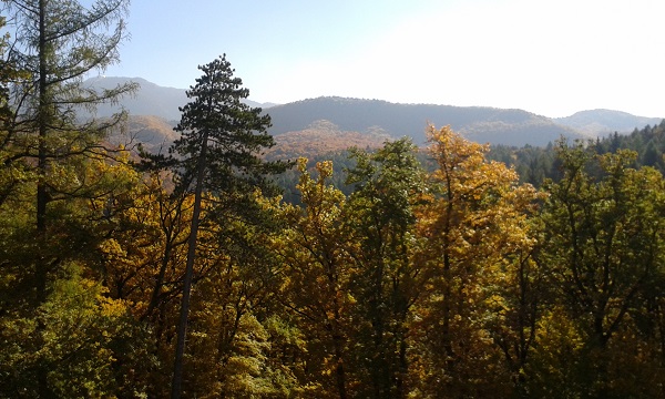 20151025_104018 20151025_104018